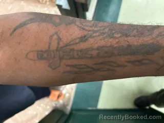 Mugshot of SONEL DRUANI FRANCIS