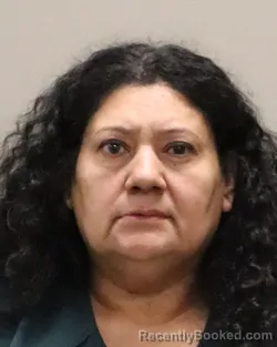Mugshot of ELIZABETH TABLAS-FARFAN