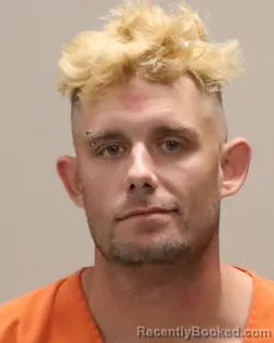 Mugshot of THOMAS JOSEPH LAREAU