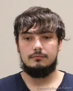 Mugshot of ADRIAN ALEXANDER STANESCU