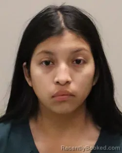 Mugshot of ANAHI ANDRES CASTANEDA