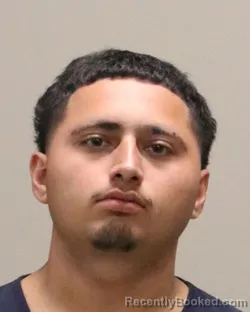 Mugshot of BRANDON JOEL BRAVO