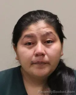 Mugshot of MARCELA ESTHER VICETE-SAZO