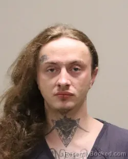 Mugshot of BRICE NICOLAS WHITE