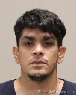 Mugshot of WALTER DAVID MARTINEZ