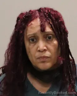 Mugshot of TIBISAY LISBETH PRADA-DRENNAN