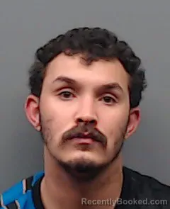 Mugshot of STEVEN LANE