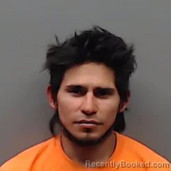 Mugshot of JUAN LUNA-FLORES