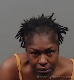 Mugshot of ANDRIA LENORE COLEMAN