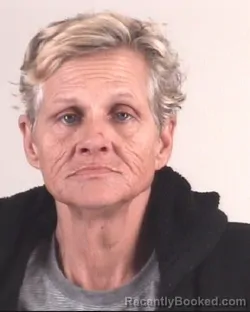 Mugshot of DANIELLE WILLIAMS