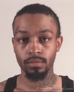 Mugshot of DAVID JOHNSON