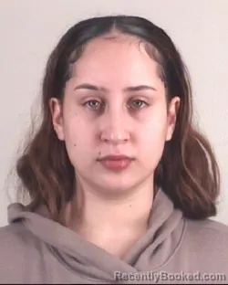 Mugshot of KAYLEE DRIAZA