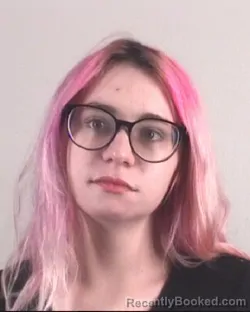 Mugshot of NEVAEH WILLIAMS