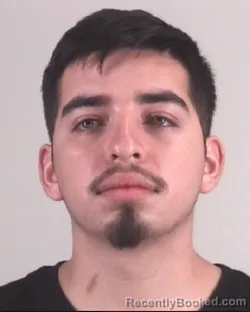 Mugshot of YONY FERMAN