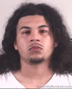 Mugshot of MANUEL ROMERO