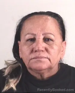 Mugshot of ANGELICA VILLALOBOSGOMEZ