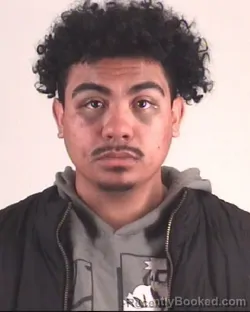 Mugshot of DESHAWN WILLIAMS