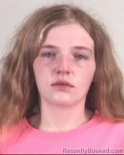 Mugshot of AMY SNYDER