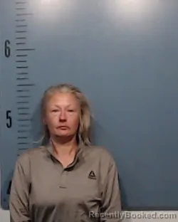 Mugshot of Melissa Clerk