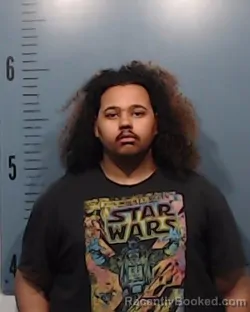 Mugshot of Davis J McKay