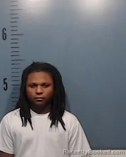 Mugshot of Terrian Anthony Wayne McBride