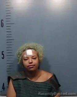 Mugshot of Nichole Elizabeth Sherman