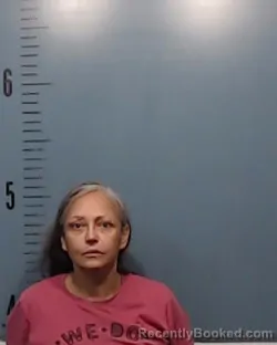 Mugshot of Marissa Gonzalez Giron