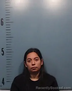 Mugshot of Marisela Elena Ward