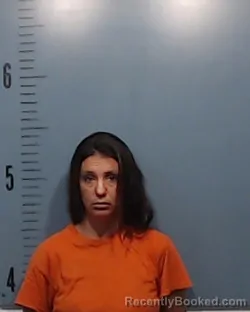 Mugshot of Crystal Marie Lindsey