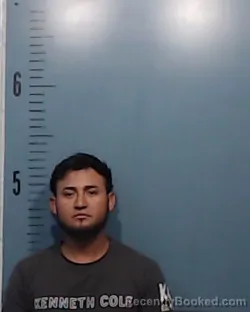 Mugshot of Edgar Mauricio Rosales