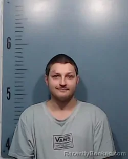 Mugshot of Brandon Wayne Parker Davis