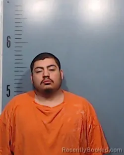 Mugshot of Dameise Antonio Gonzales