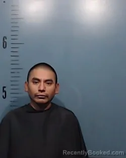 Mugshot of Patricio Paulin-Tellez
