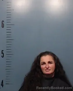 Mugshot of Brandi Elaine Harris