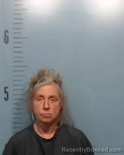 Mugshot of Sonya Kaye Caswell