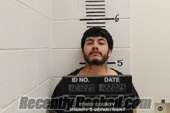 Booking photo from Terry County, Texas