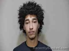 Mugshot of CHANDLER SHERMARK BARNETT