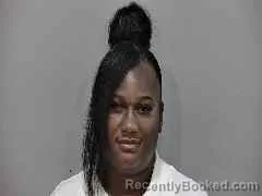 Mugshot of VERONICA ELAINE JOHNSON