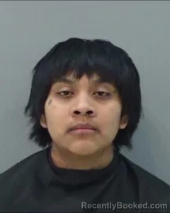 Mugshot of JASMINE AVILES