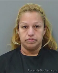 Mugshot of ANA PALOMO
