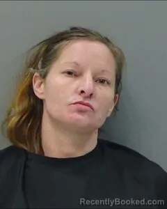 Mugshot of DANIELLE LANE