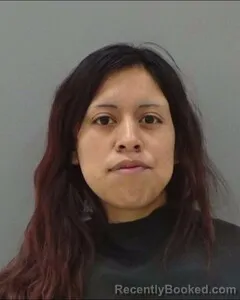 Mugshot of VERONICA REYES