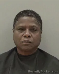 Mugshot of THERESA JACKSON