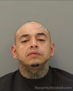 Mugshot of JUAN SANCHEZ