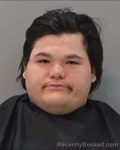 Mugshot of SETH WALKER