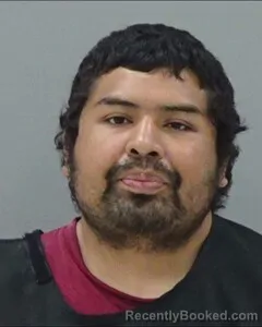 Mugshot of LUIS MARES