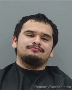 Mugshot of JULIAN ORTEGA