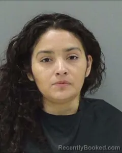 Mugshot of ANNA ROJAS