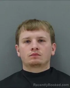 Mugshot of MICHEAL HOLLEMAN