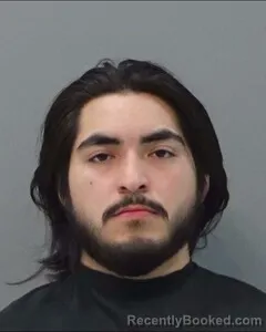 Mugshot of SAMUEL VILLASANA